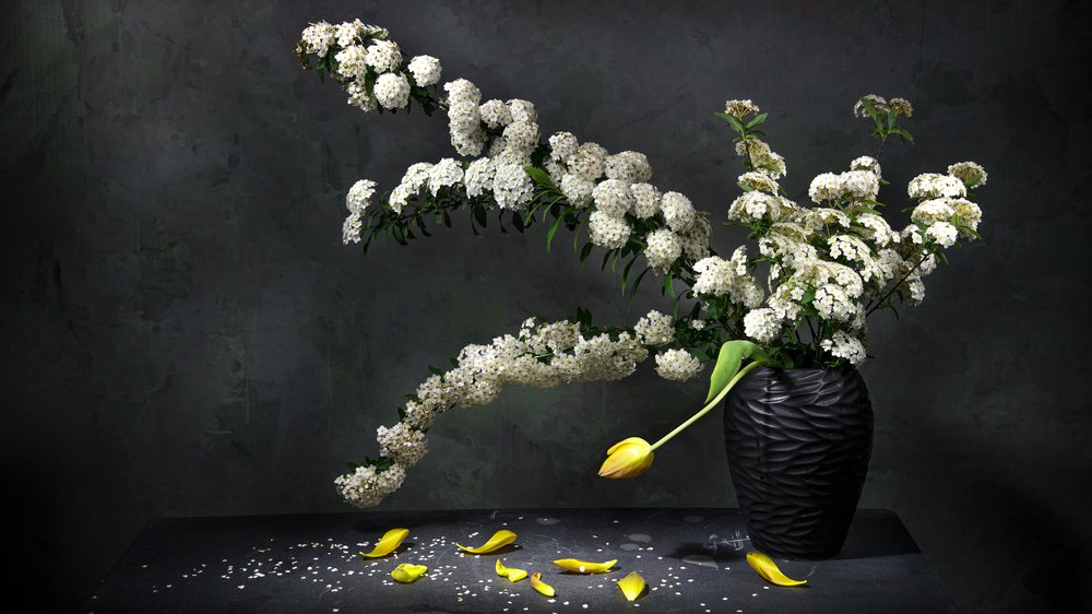 Elegant blomsterstilleben av Felice Angelino