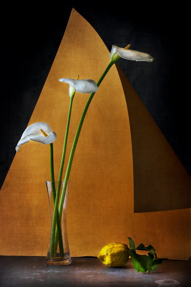  av Felice Angelino