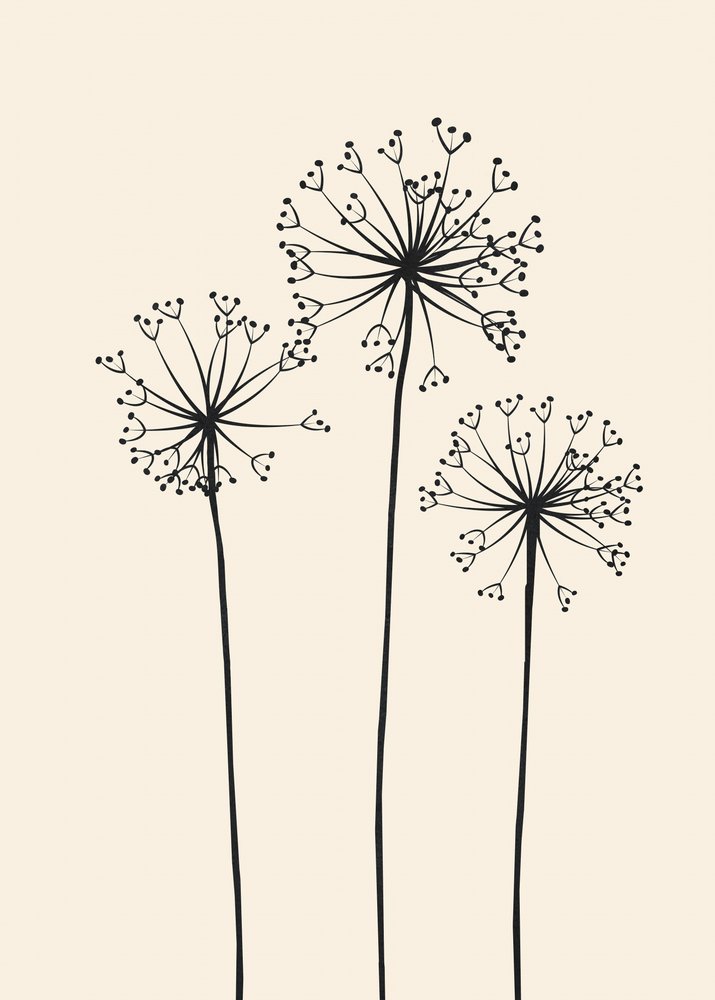 Minimalistiska maskrosblommor av Flow Line