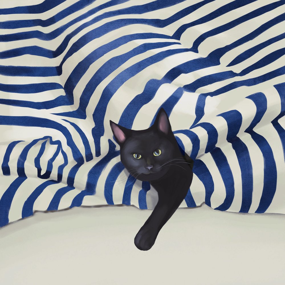 Den smygande svarta katten av Flow Line