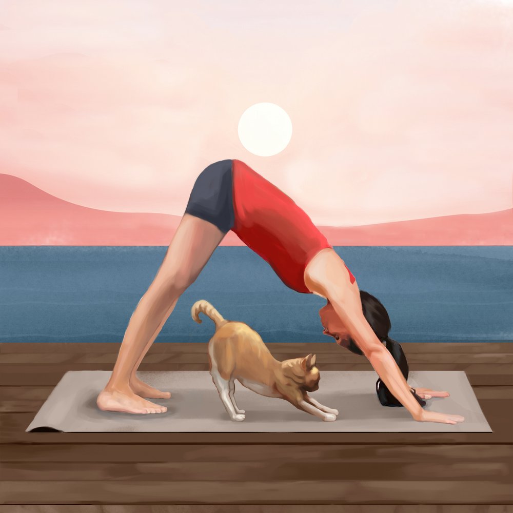 Yoga med soluppgången – Katten av Flow Line