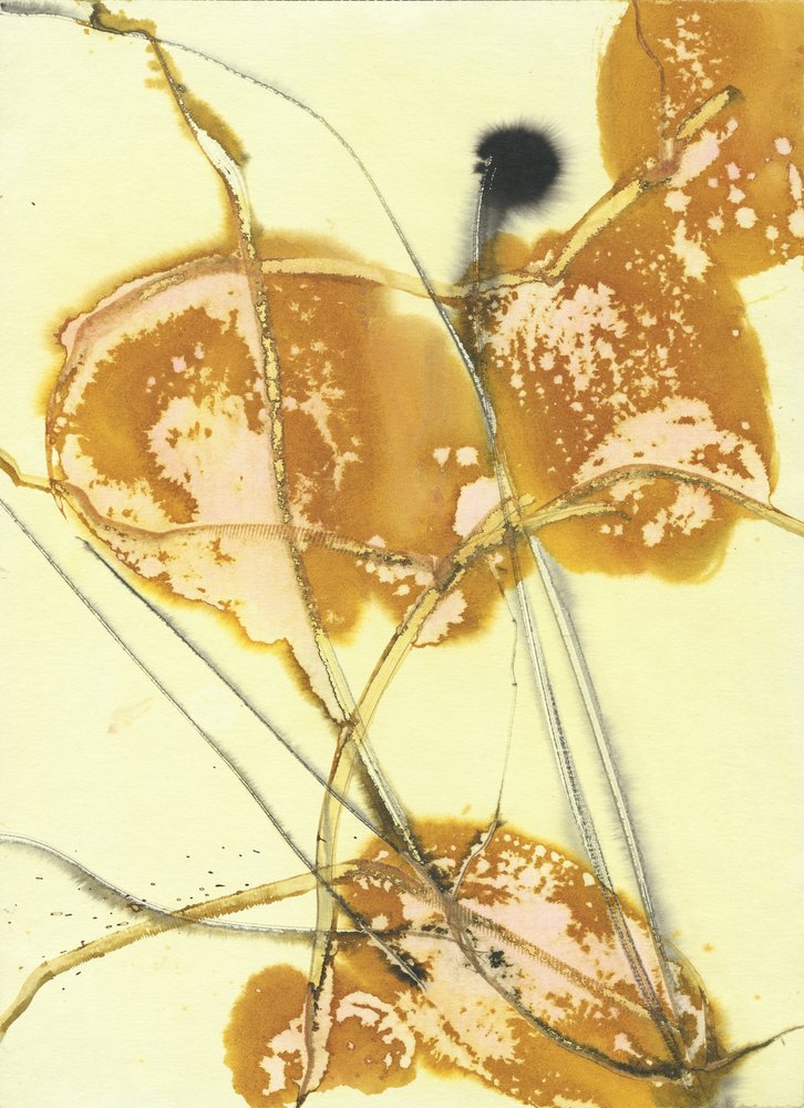 Ekologiska Golden Washes av Frederic Belaubre