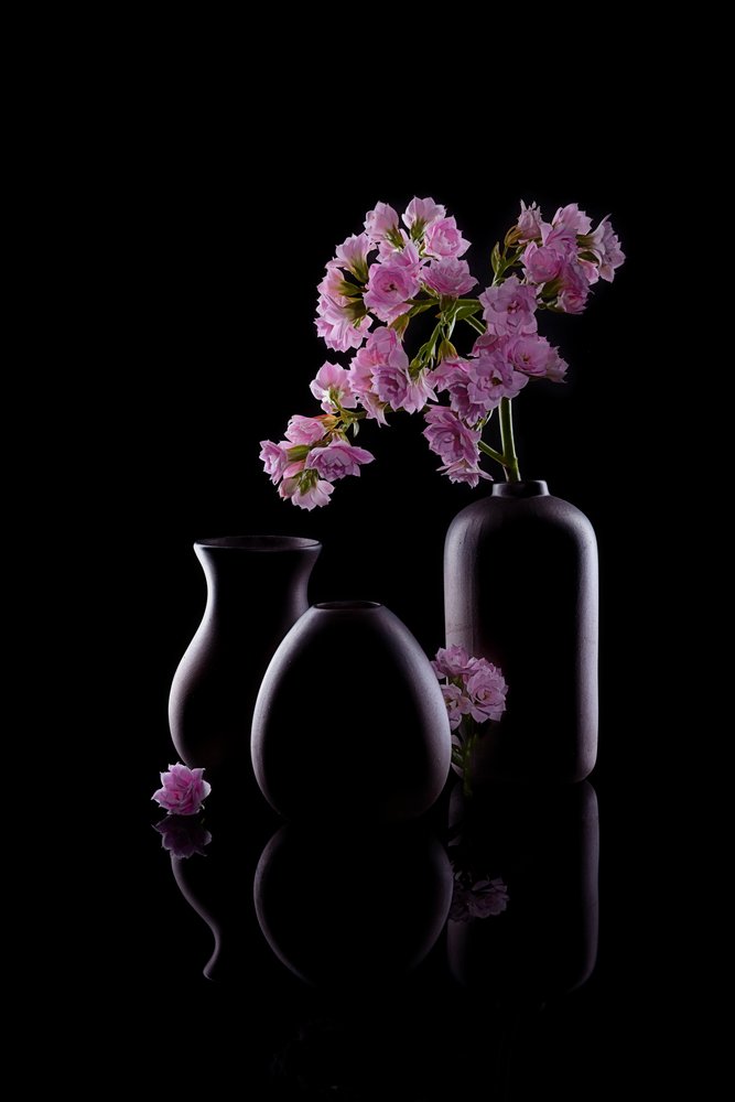 Mörka vaser med rosa blommor av GaoSL