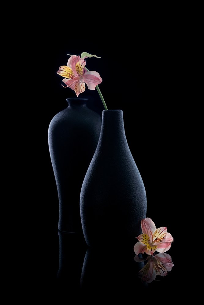 Elegant Alstroemeria i vas av GaoSL