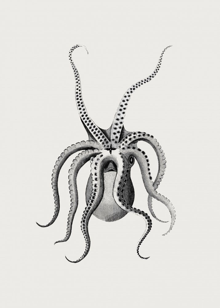  av George Shaw