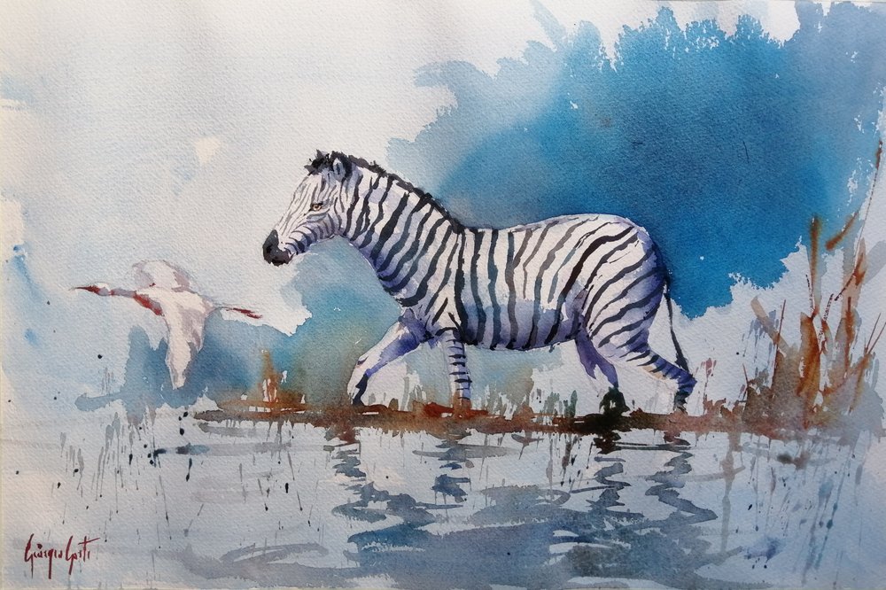 Afrikansk zebra vadar av Giorgio Gosti