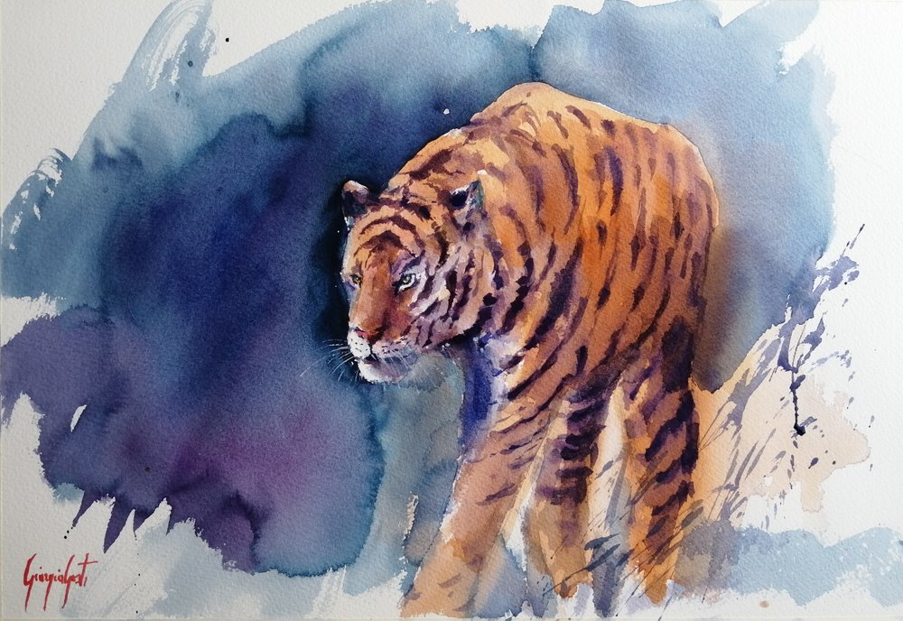 Den majestätiska tigerns steg av Giorgio Gosti