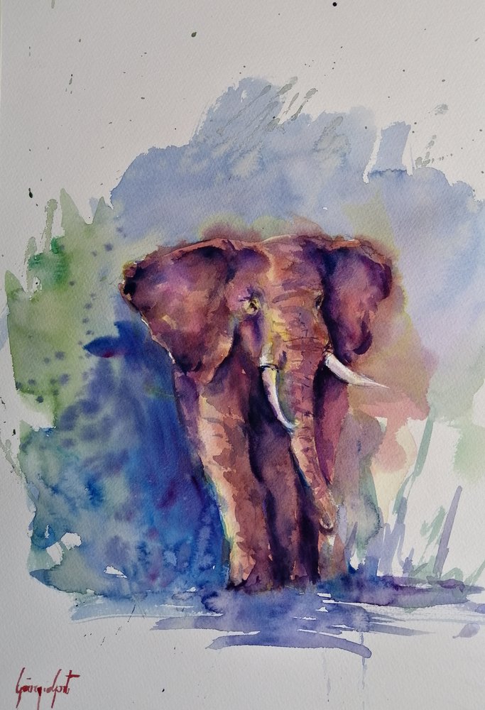 En majestätisk elefant i akvarell av Giorgio Gosti