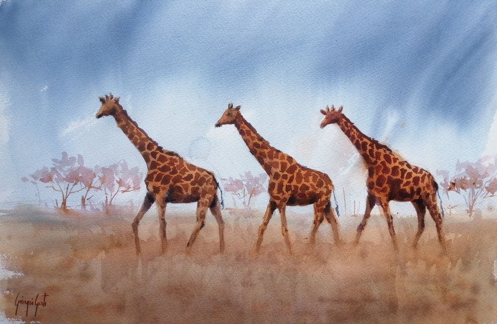 Safari-girafftrion av Giorgio Gosti