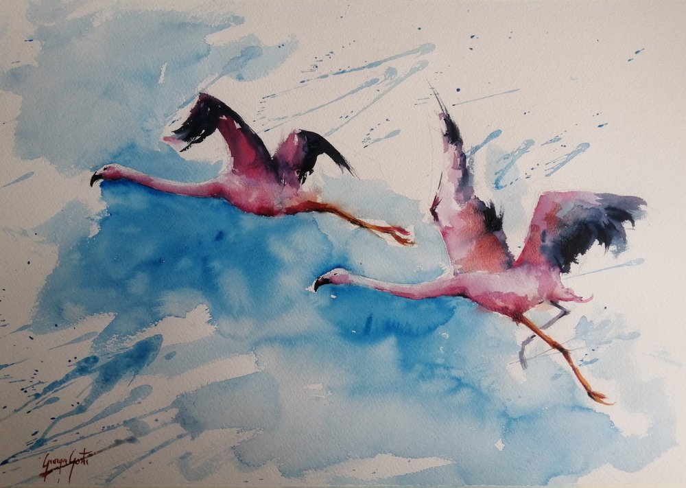 Färgsprakande flamingoflyg av Giorgio Gosti
