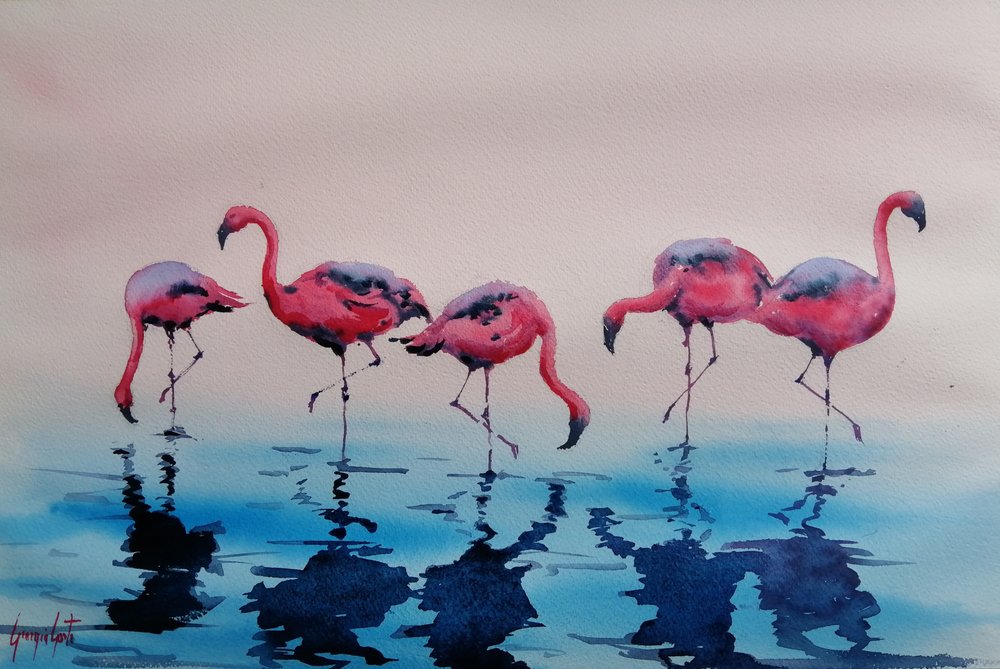 Vadande rosa flamingor av Giorgio Gosti
