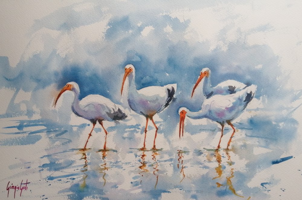 Reflektioner av vit ibis av Giorgio Gosti
