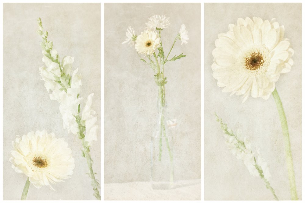 Mjuka vita blommor av Gustav Davidsson
