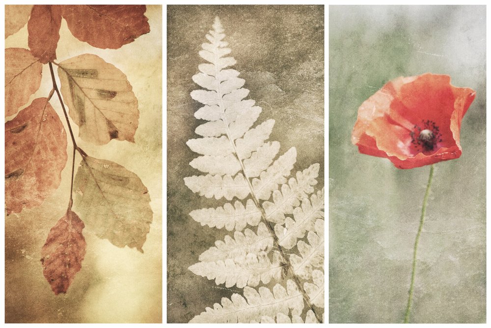 Vintage Nature Trio av Gustav Davidsson