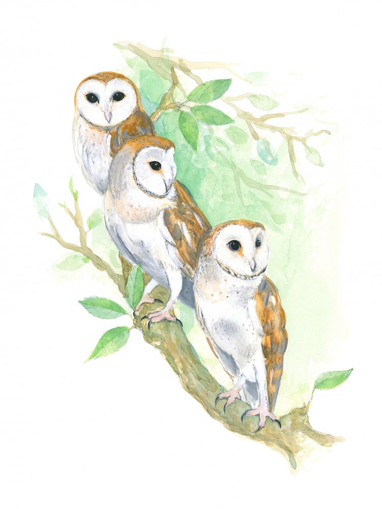 3 tornugglor av Isabelle Brent
