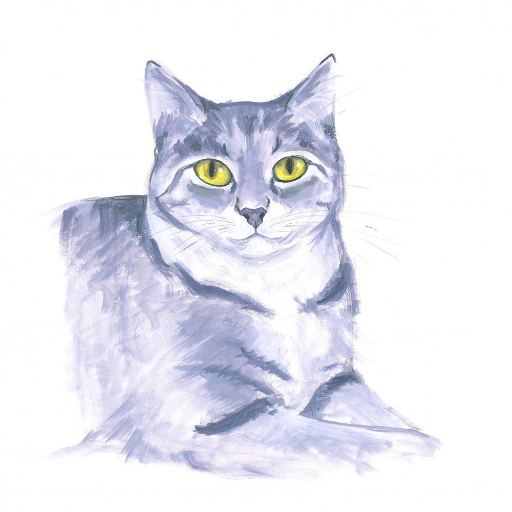 Iakttagande katt av Isabelle Brent