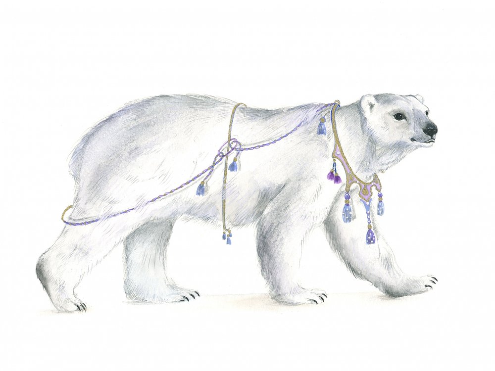 Kunglig polar majestät av Isabelle Brent