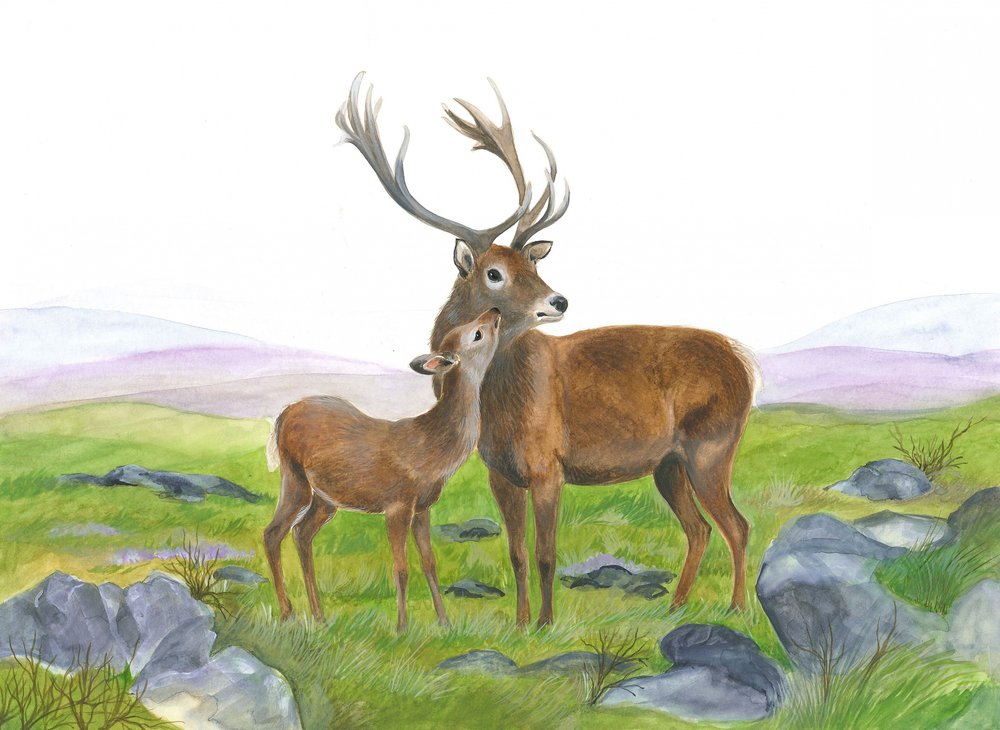 Hjort och ung hind av Isabelle Brent