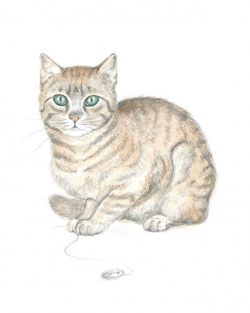 Tigrerad katt och knapp av Isabelle Brent