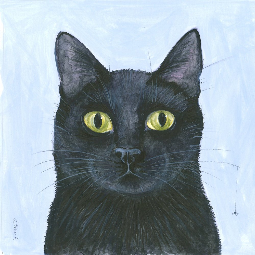 Kattens morrhår av Isabelle Brent