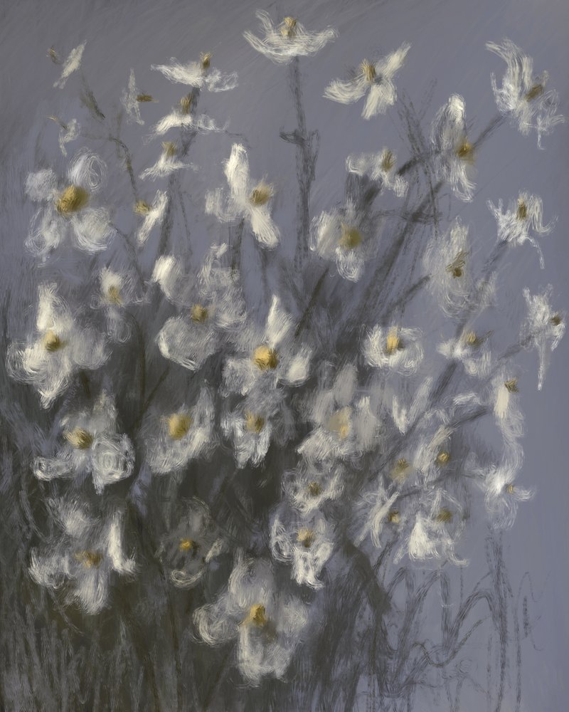 Drömlika vita blommor av James Zamora