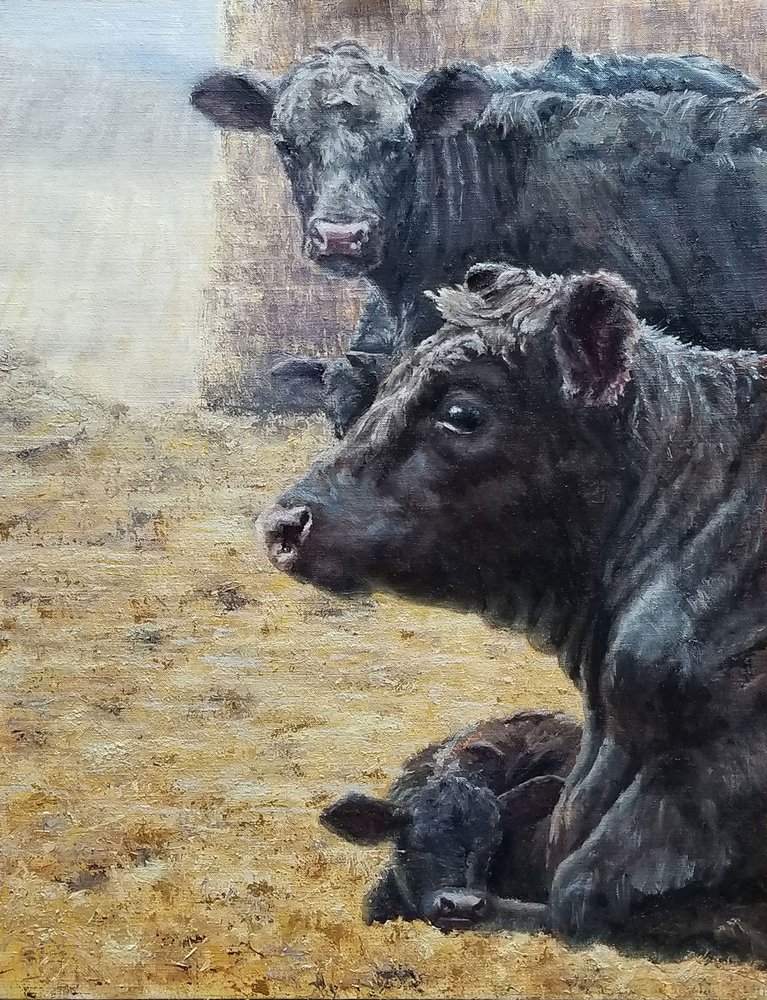 Familjen Black Cattle av Jan Clizer