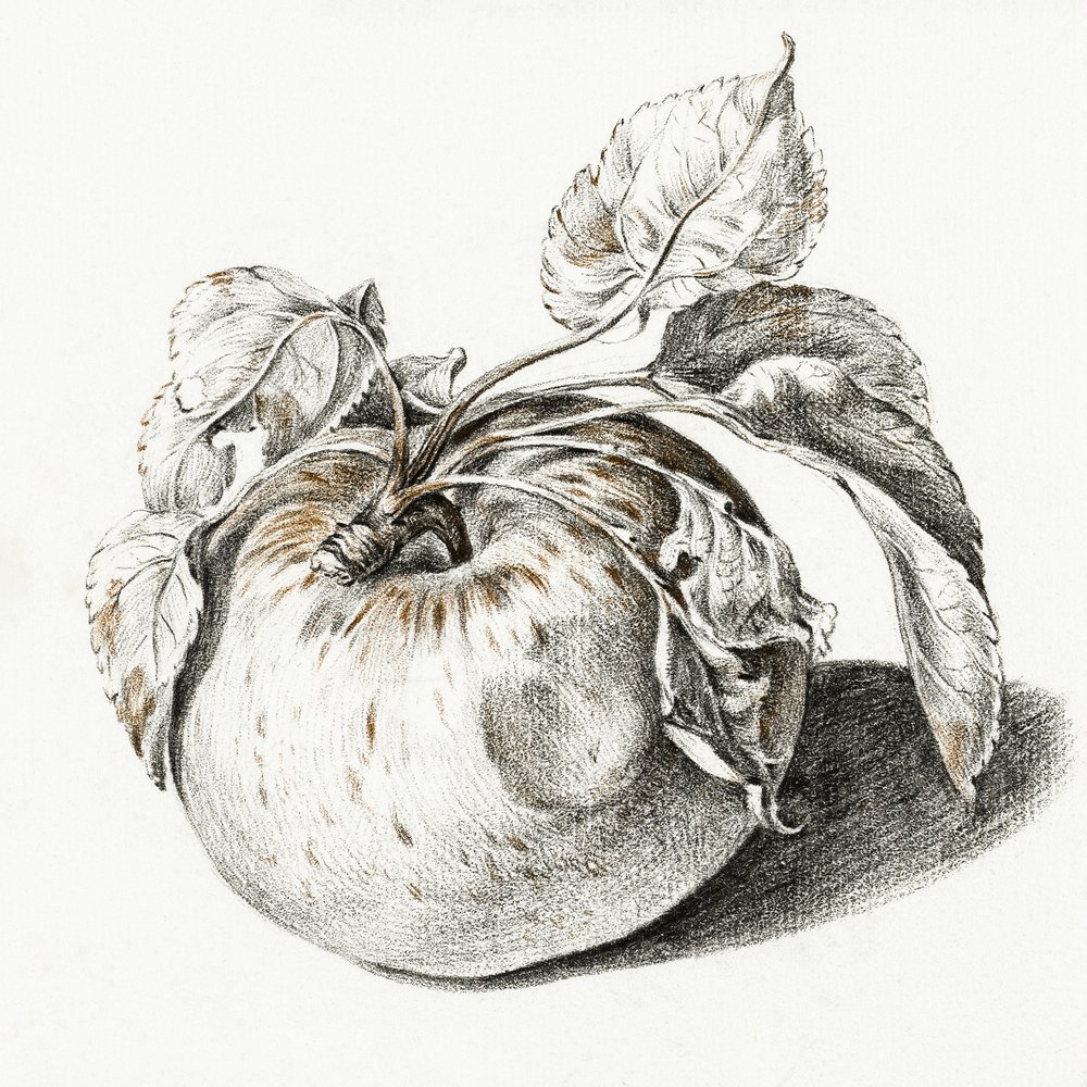 Apple av Jean Bernard