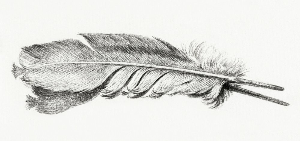 Fjäder av Jean Bernard