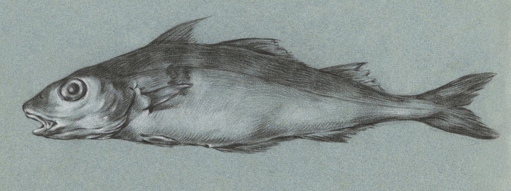 Fish Green (1775–1833) av Jean Bernard