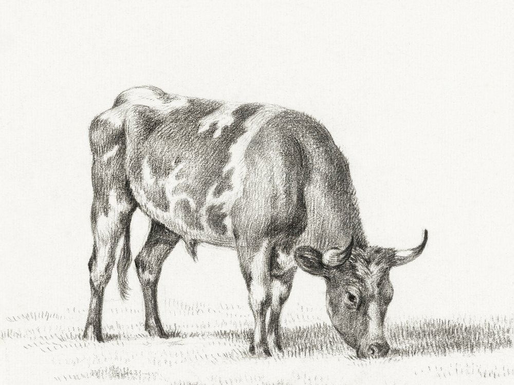 Betande tjur av Jean Bernard