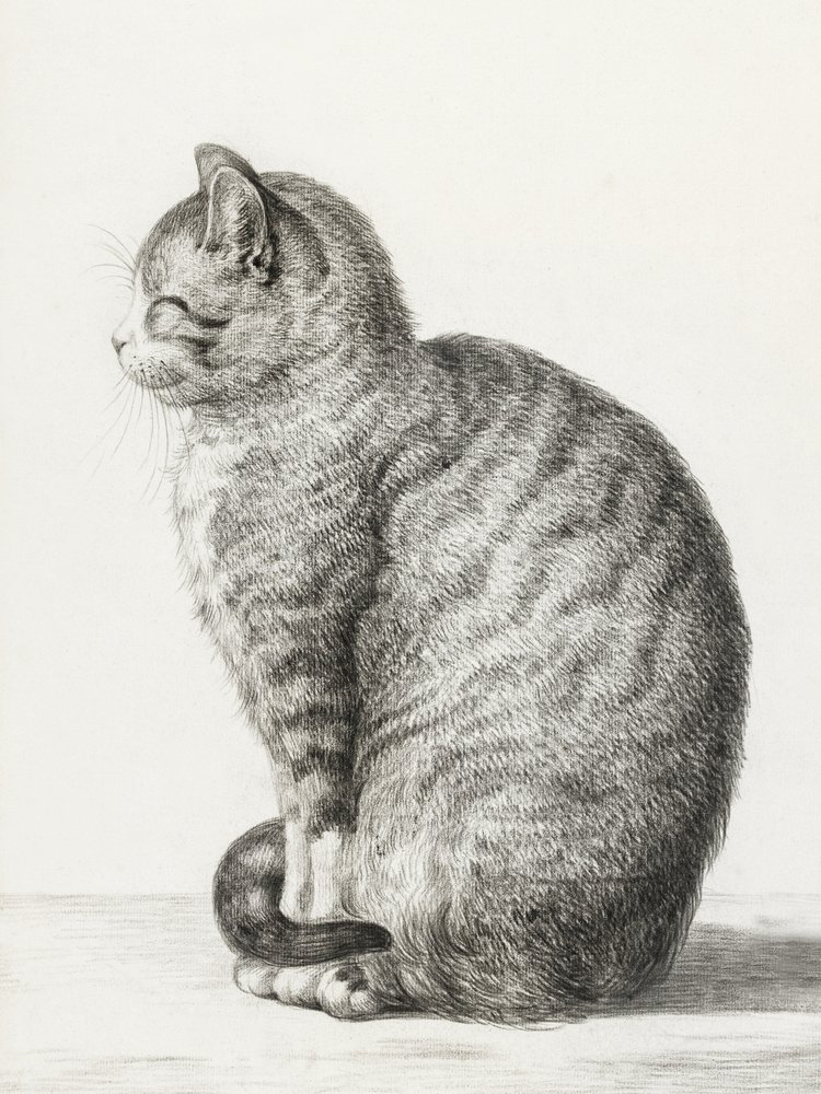Sittande katt (1815) av Jean Bernard