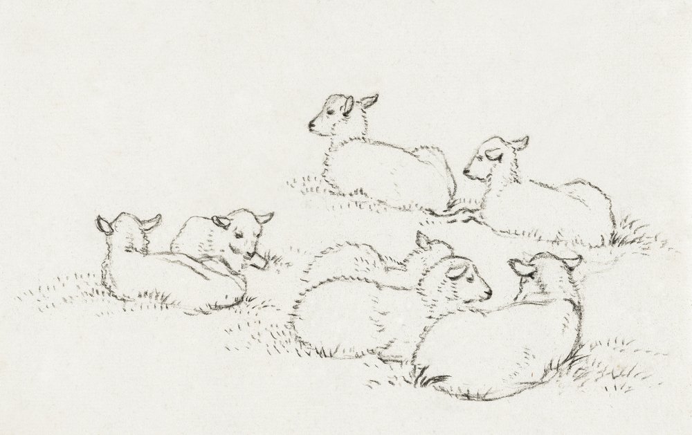 Sex liggande lamm (1820) av Jean Bernard