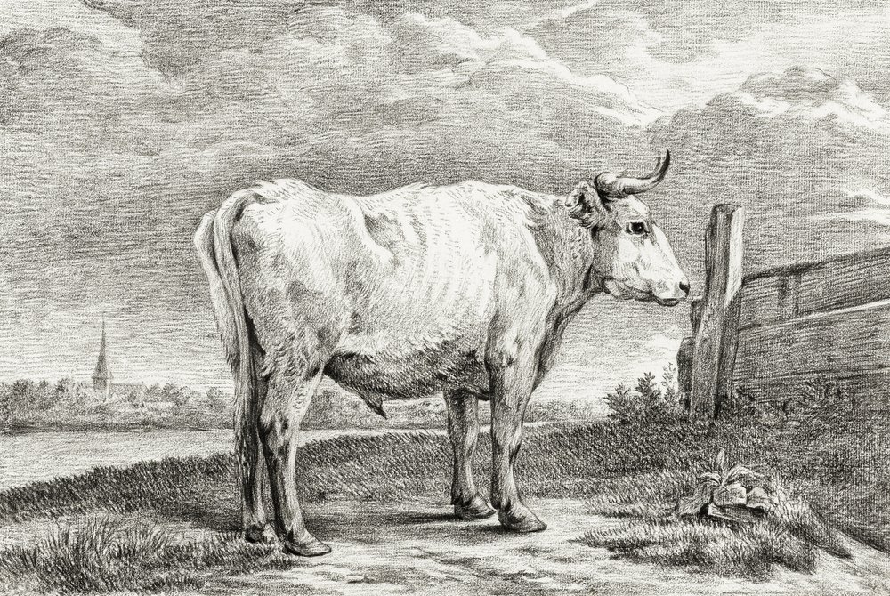 Standing Bull (1817) av Jean Bernard