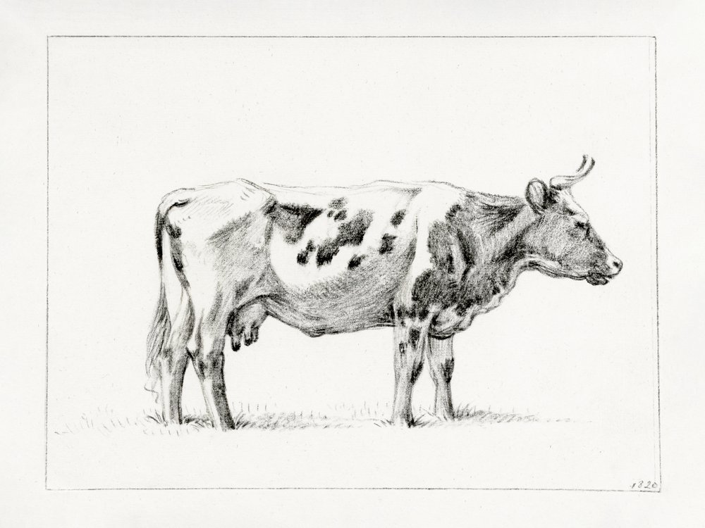 Stående ko (1820) av Jean Bernard