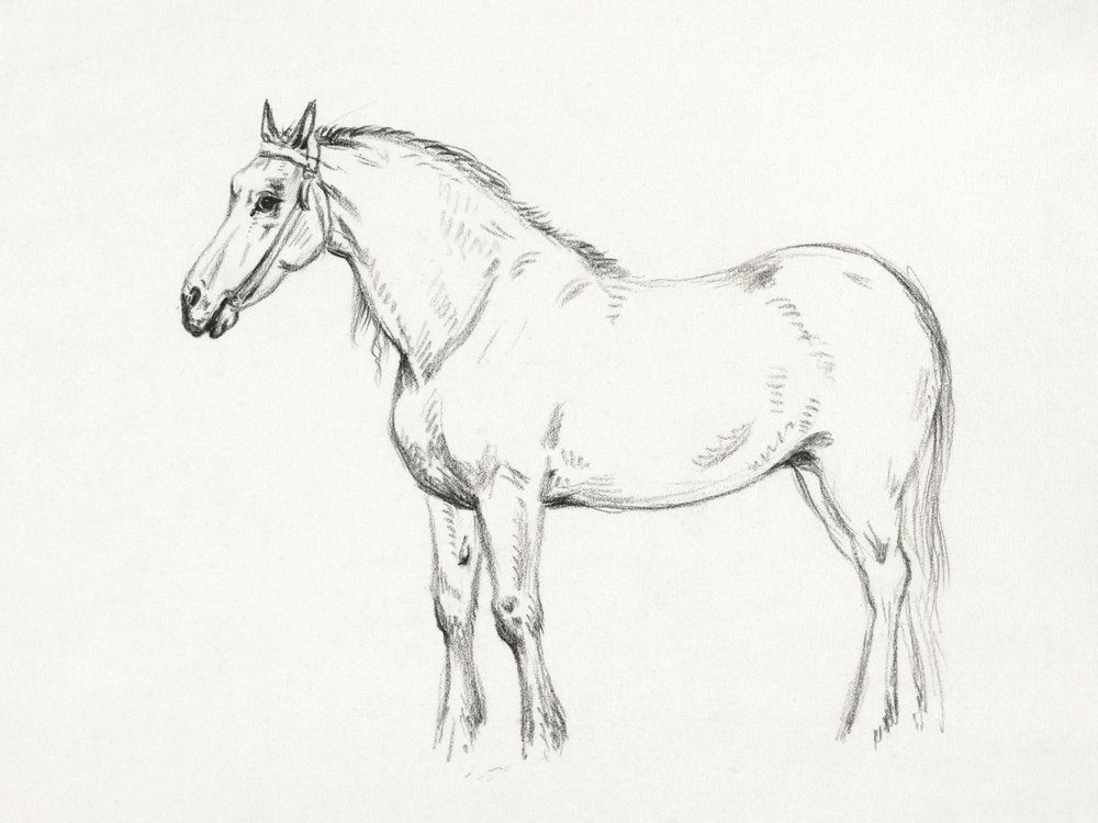 Stående häst (1818) av Jean Bernard