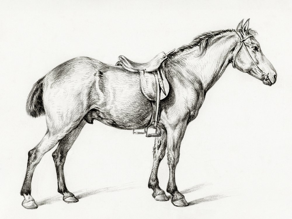 Stående häst av Jean Bernard (1775–1883) av Jean Bernard