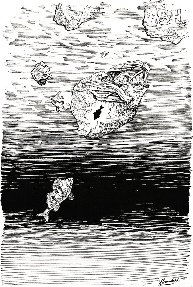Fisk under plast av Johan Liewendahl