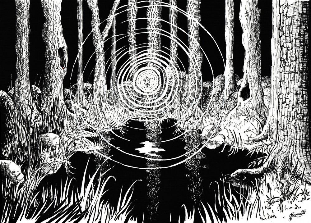 Mystiska skogsvågor av Johan Liewendahl
