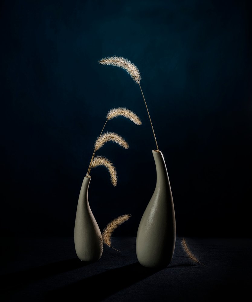 Moody botaniska vaser av John-Mei Zhong