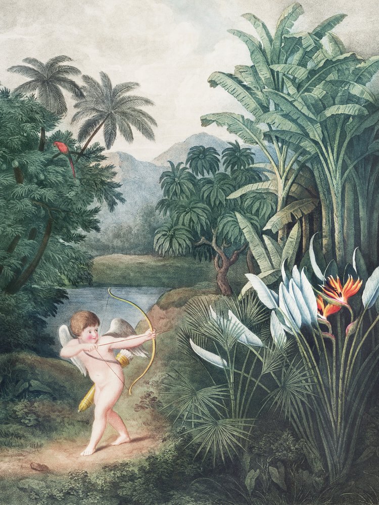 Cupido inspirerar växter med kärlek från Floras tempel (1807) av Robert John Thornton av John Thornton