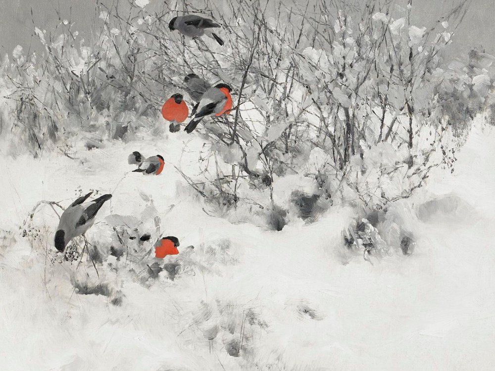 Rödhake i snön av Jolly and Dash
