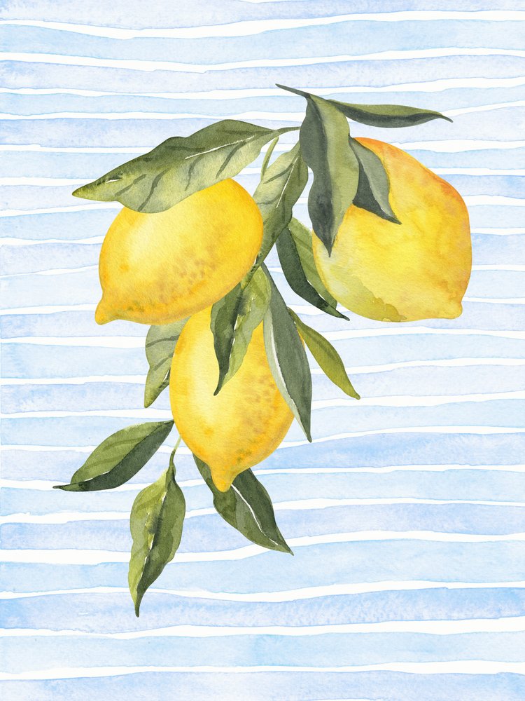 Soliga citrusfrukter på blå bakgrund av Jolly and Dash