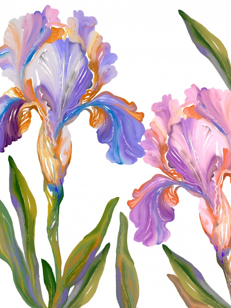 Färgglada irisblommor av Josie George