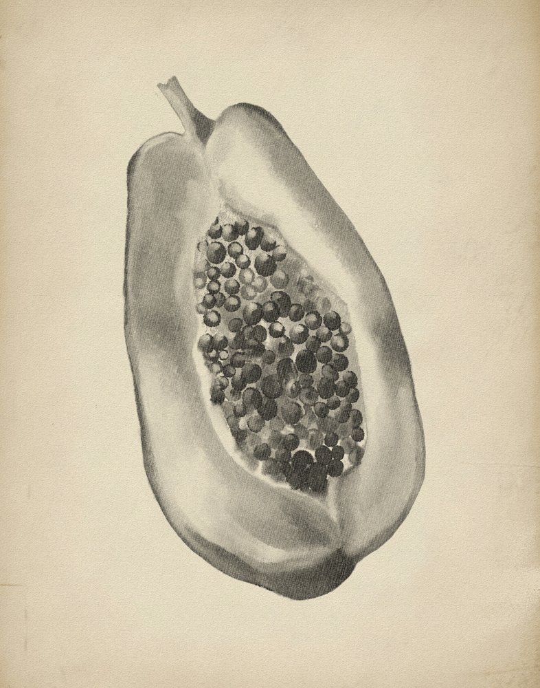 En halv tropisk papaya av Josie George