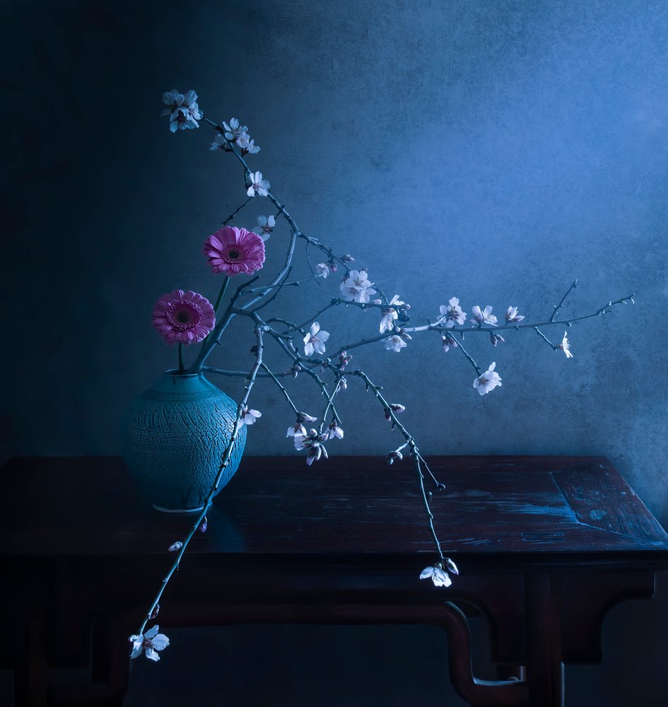 Mörk blommig elegans av Judy Tseng