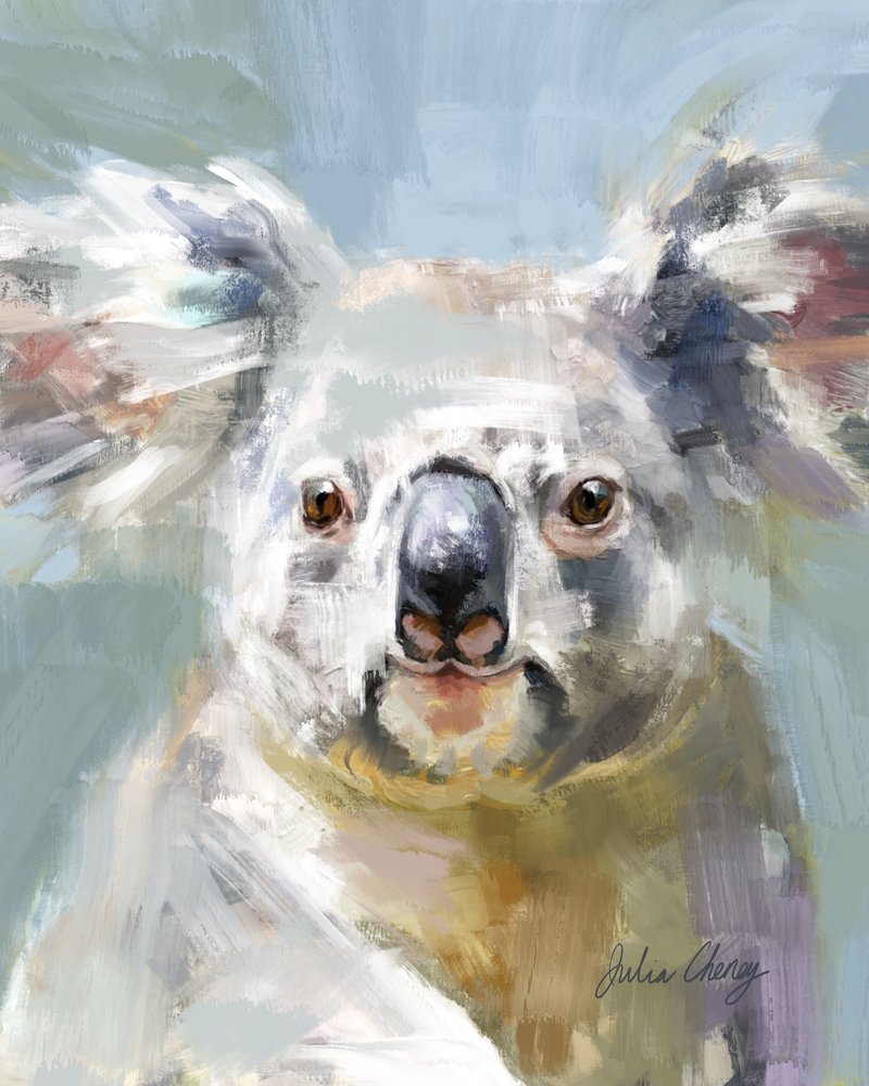 Koalans milda blick av Julia Cheney