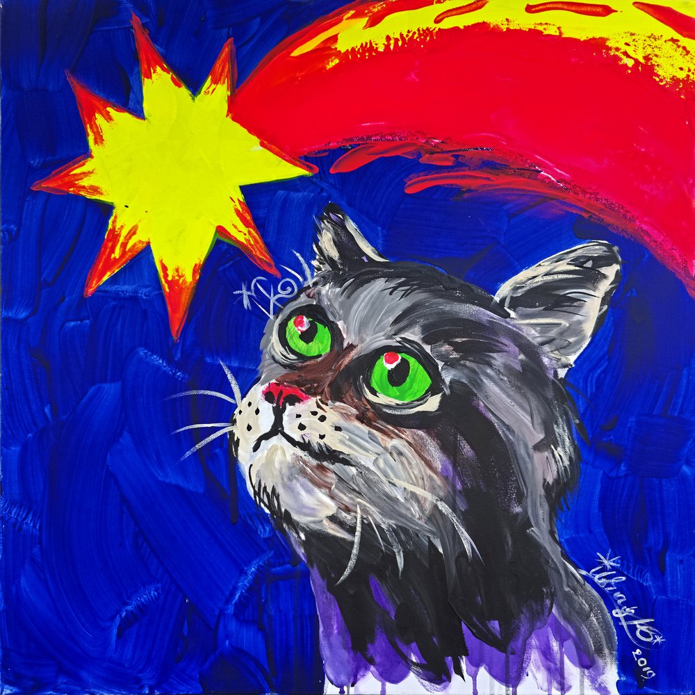 Katten och kometen av Kanat Ibragimov