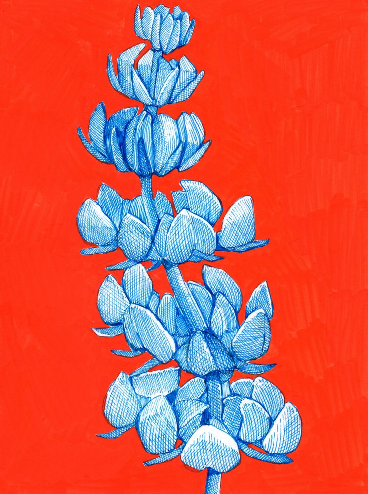 Djärv blå blomma av Katie O'Shea