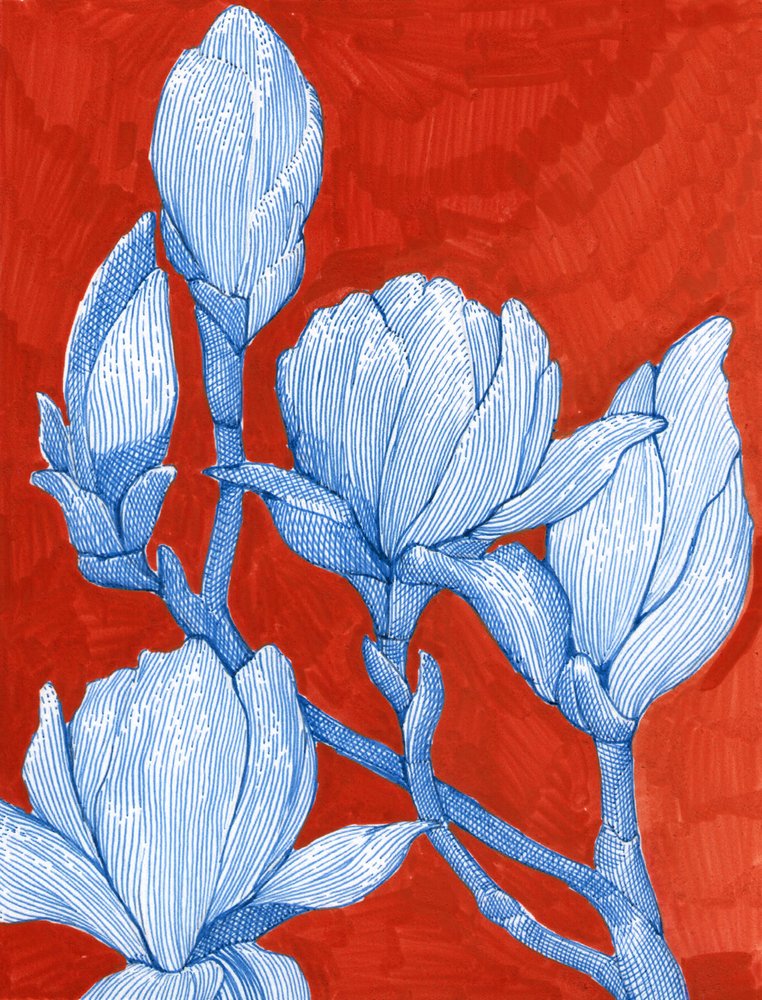 Djärva blå magnolior av Katie O'Shea