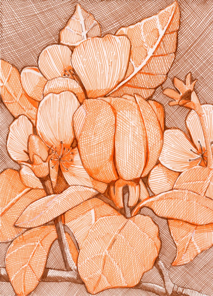 Skrafferade orange blommor av Katie O'Shea